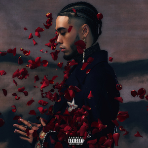 四川ass少妇鲜嫩BBW
